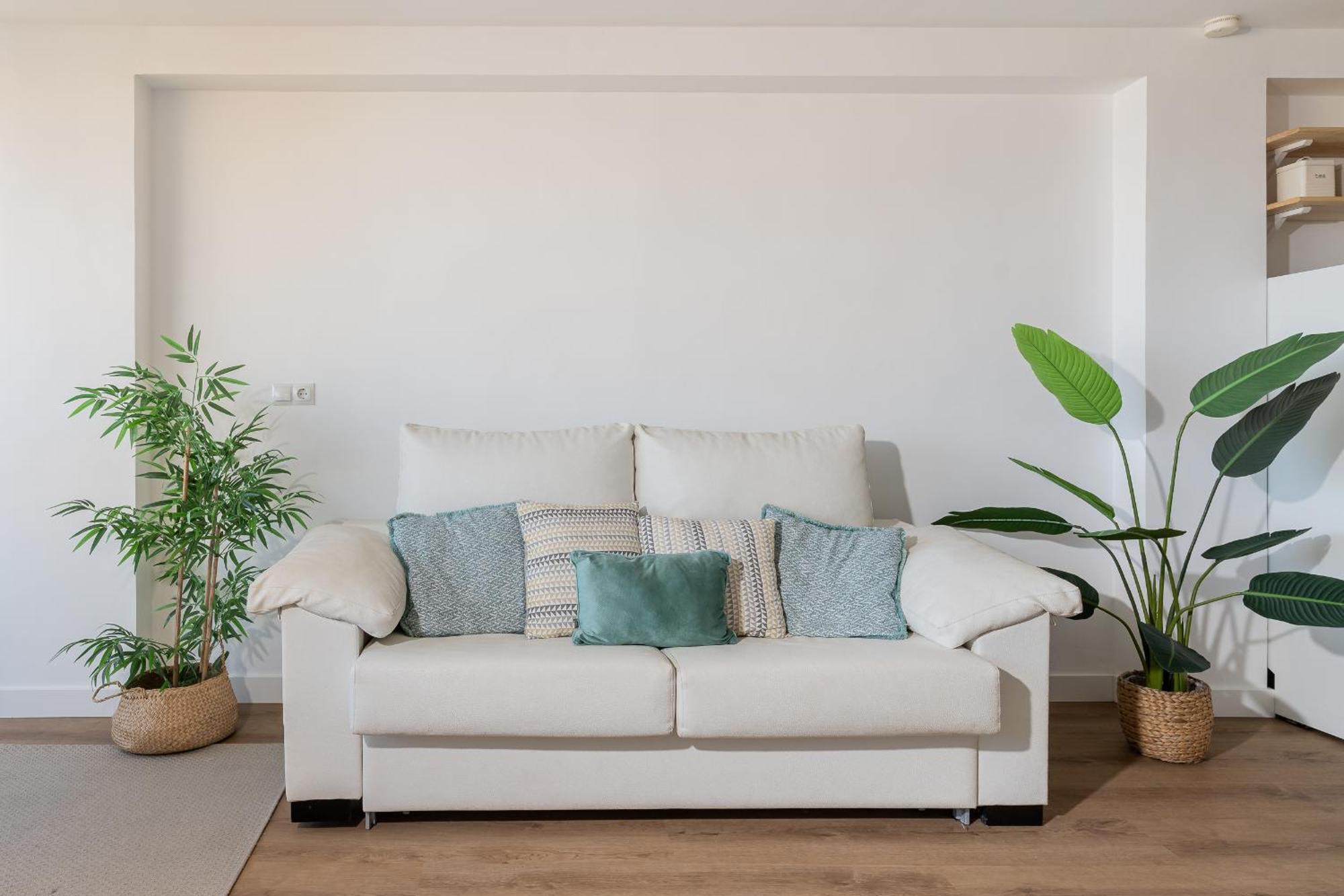 Apartament Monko Afrodita